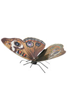 Metalearth papillon - buckeye butterfly