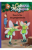 La cabane magique, tome 20