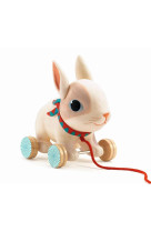 Jouet a trainer - colin