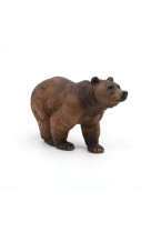 Ours des pyrennees