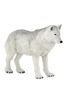 Loup polaire