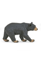 Ours noir
