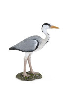 Heron cendre