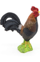 Coq