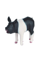 * cochonnet noir et blanc