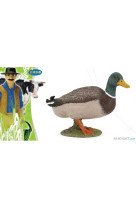 Canard colvert