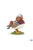 Canard mandarin