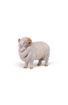 Mouton merinos