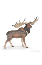 * megaloceros