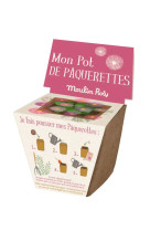 Pot de graines paquerettes