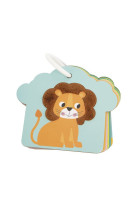 Cartes tactiles savane