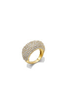Bague 16.90?