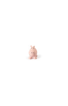 Mon premier animal du zoo : hippopotame