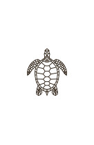 Puzzle d-interieur tortue