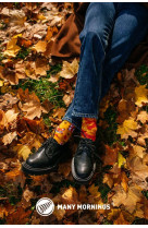 Chaussettes the squirrels 43-46