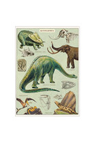 Poster dinosaures - 5
