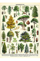 Poster arboretum - 39