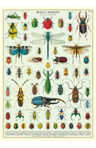 Poster bugs and insects - 40