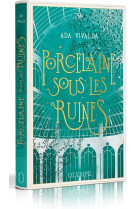 Porcelaine sous les ruines