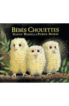 Bébés chouettes