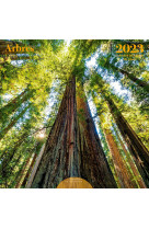 Calendrier 30x30 arbres 2023
