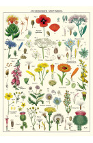 Poster fleurs sauvages - 41
