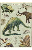 Poster dinosaures - 5