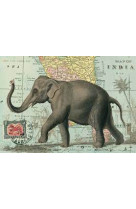 Poster elephant - 19