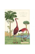 Poster histoire naturelle flamand rose - 35