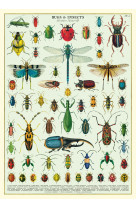 Poster bugs and insects - 40